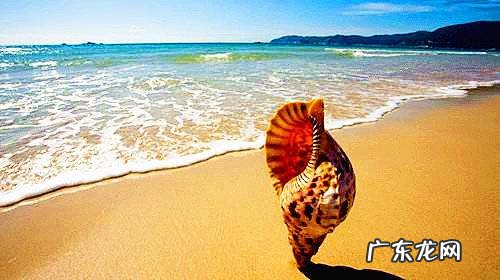 沧海手游下载 沧海下载