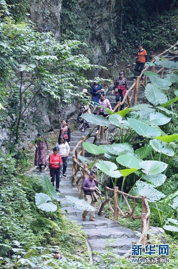 巴马人长寿的秘密 巴马长寿图片