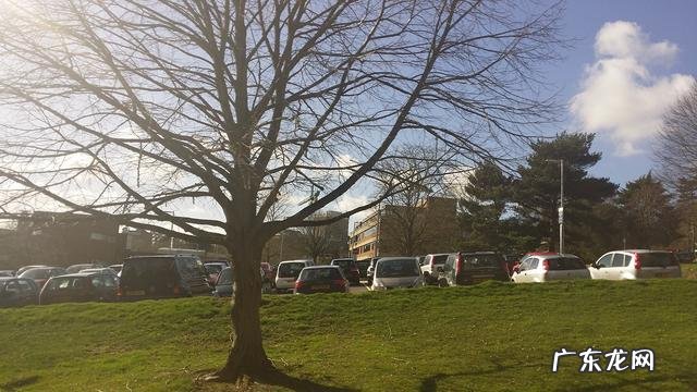 桂林最好的雅思培训机构 桂林雅思培训中心