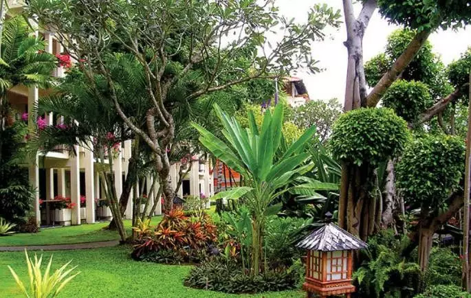 家里风水树有几种 种什么树风水最好