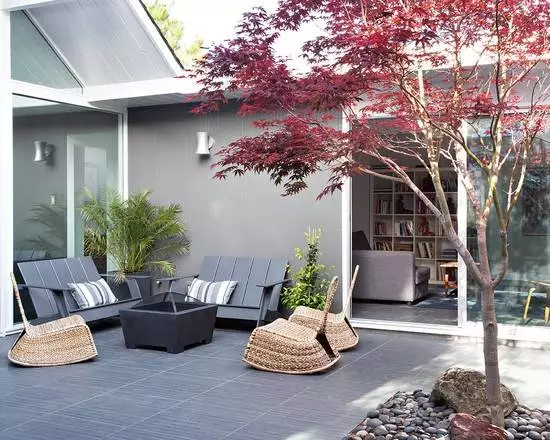 家里风水树有几种 种什么树风水最好