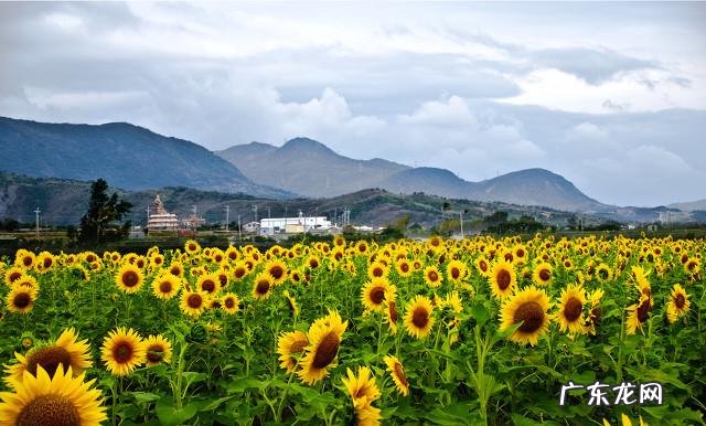 心态决定人生什么意思