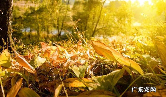 心态决定人生什么意思