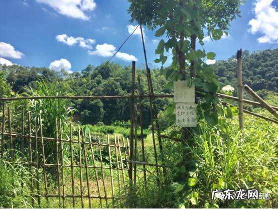 厂门口有条河风水好不好 厂房在河边风水