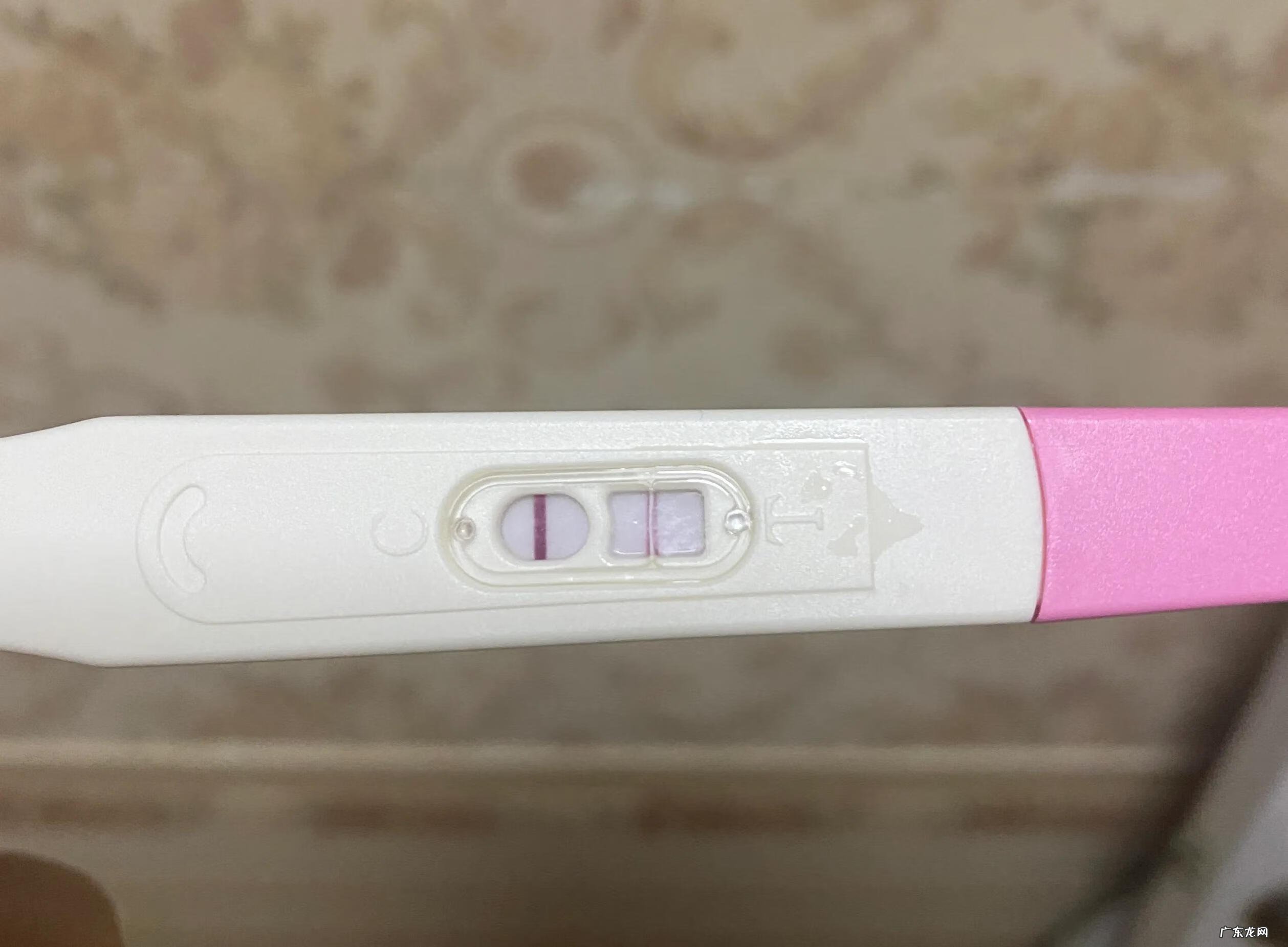 孕中期营养食谱 怀孕各阶段食谱