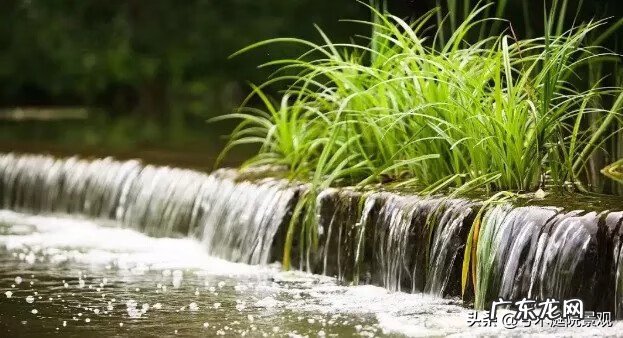 庭院水池图片 别墅花园水池位置
