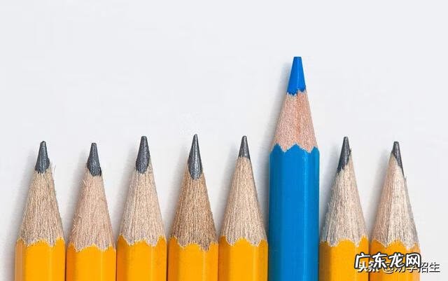 中国招生网官方网站 全国招生代理网