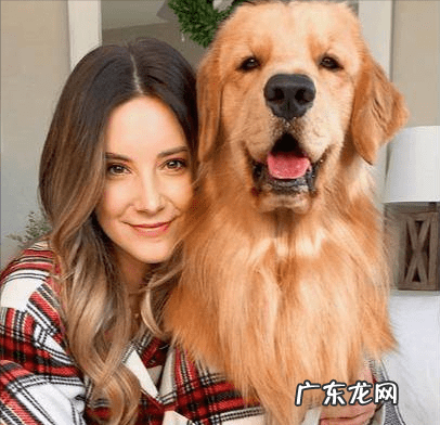 明星们宠物的名字 明星宠物的名字叫什么