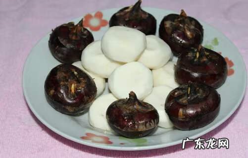 马蹄的功效与效果 马蹄的功效和作用图片