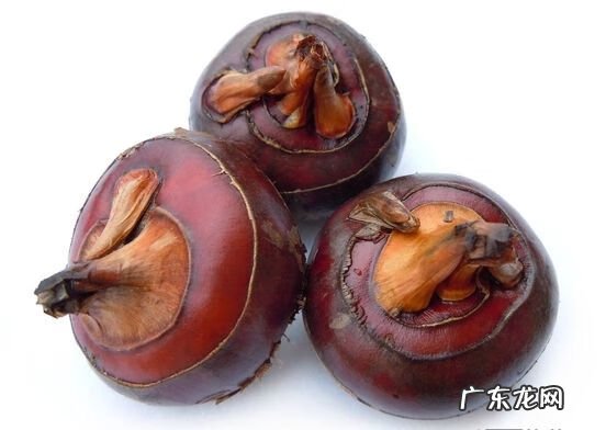 马蹄的功效与效果 马蹄的功效和作用图片