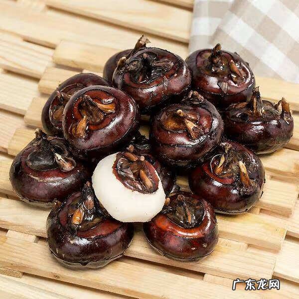 马蹄的功效与效果 马蹄的功效和作用图片