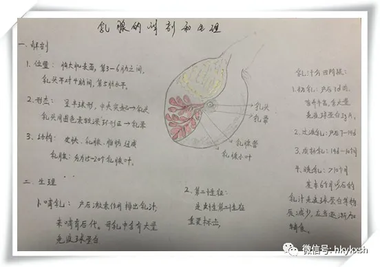 乳腺炎怎么调理最好方法 急性乳腺炎怎么办