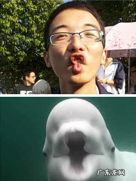 大家找别扭 找别扭1