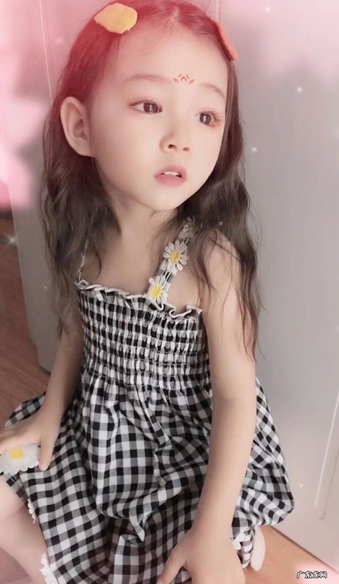 幽灵公主 精灵公主妮呢