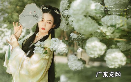 心尖美人(重生 青梅令)