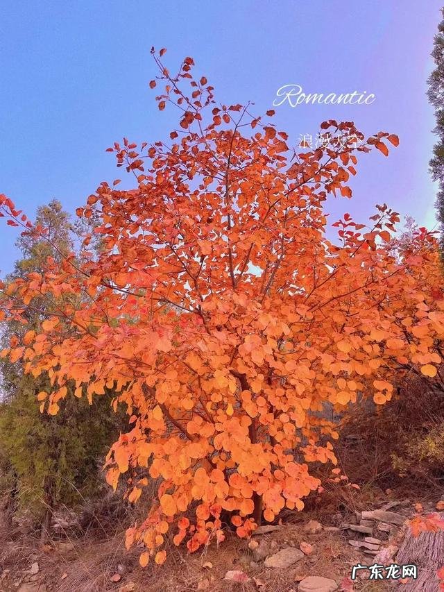 如何进行有效的推销 如何推销自己