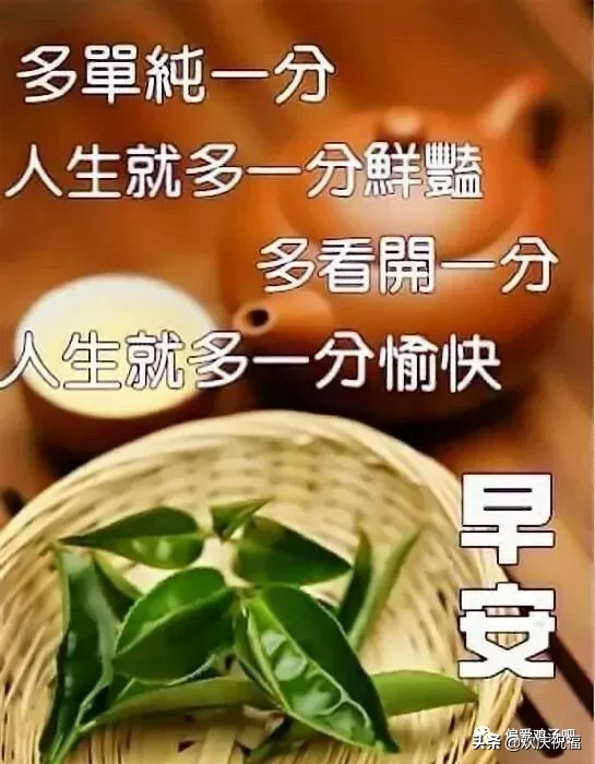 猜不透歌词歌词是什么意思 猜不透的心