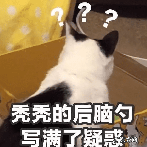 办公室偷吻 找刺激 办公室偷吻