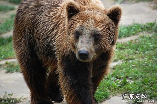 风水地理入门 地理风水落穴