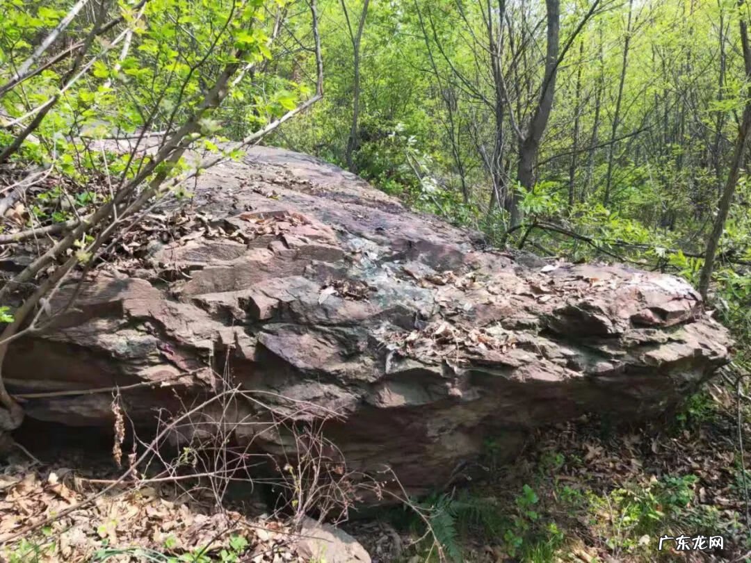 九龙缠顶风水宝地 上山龙风水宝地