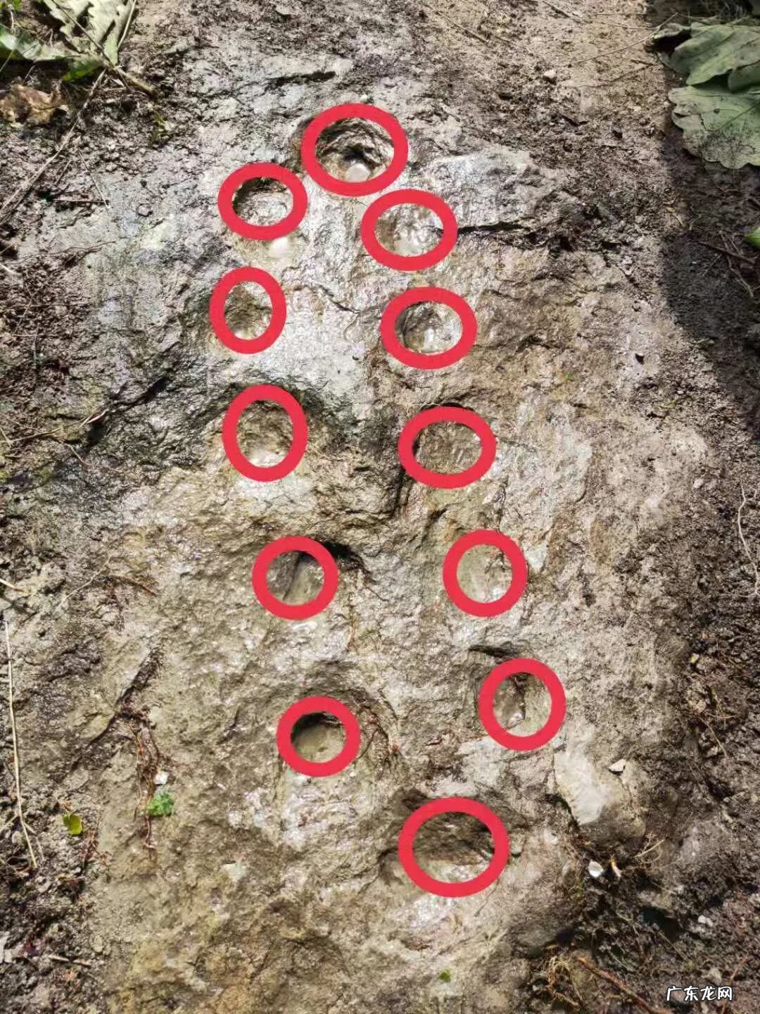 九龙缠顶风水宝地 上山龙风水宝地