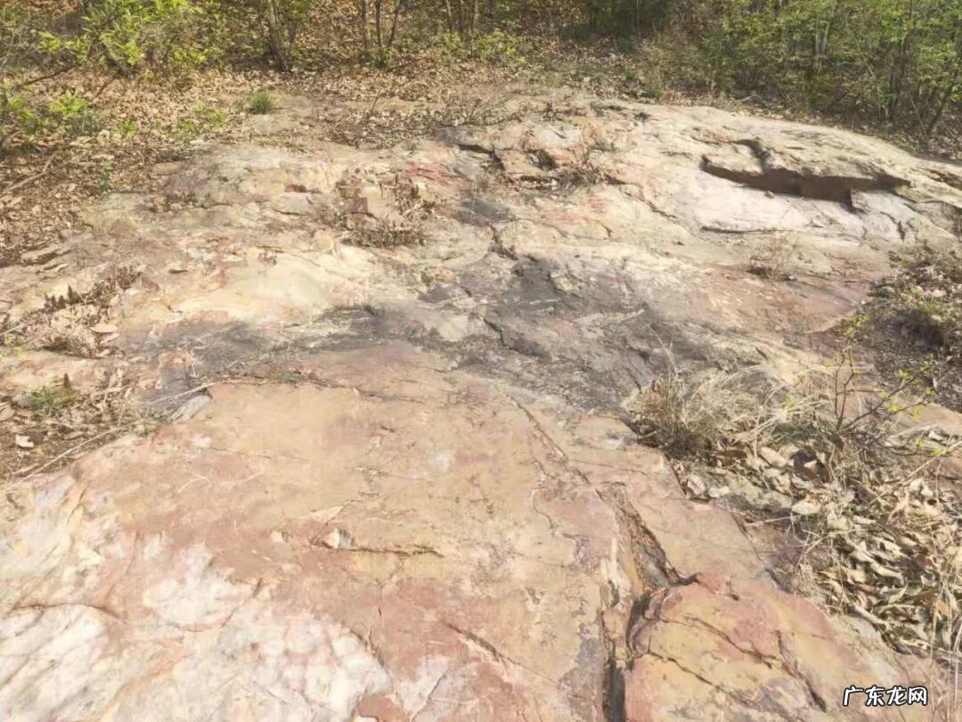 九龙缠顶风水宝地 上山龙风水宝地