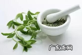 喝什么可以去痘痘排毒 排毒去痘痘