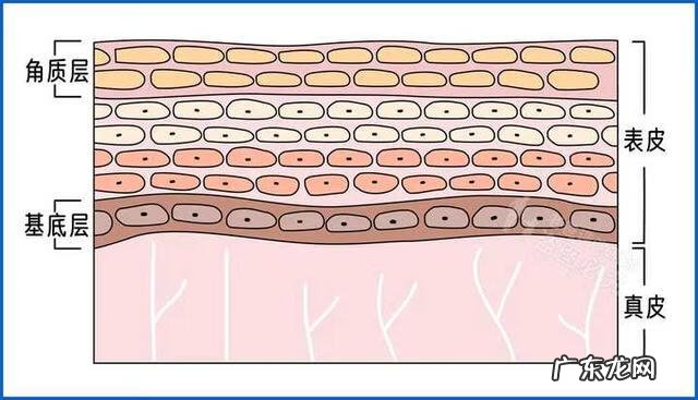 如何美白最有效 最快美白产品