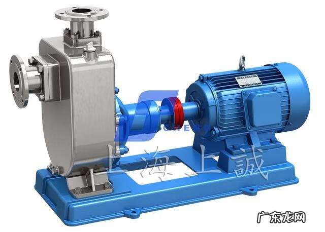 不锈钢泵 不锈钢齿轮油泵