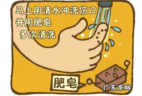 狗给我咬起包了没出血 被小狗咬了没出血