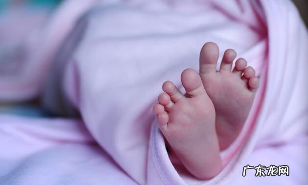 试管婴儿移植囊胚过程 供胚移植试管婴儿是怎么回事