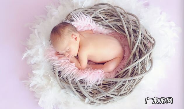 试管婴儿移植囊胚过程 供胚移植试管婴儿是怎么回事