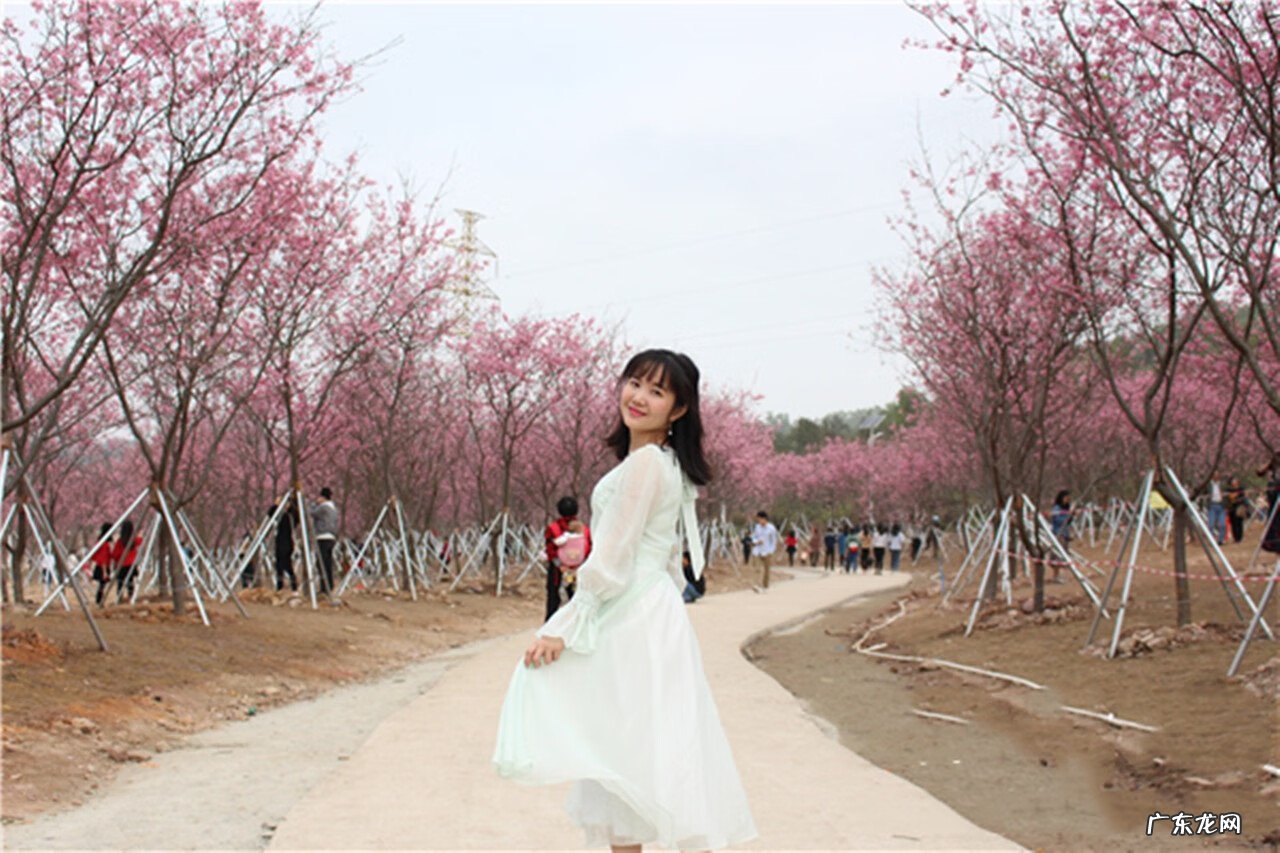 湛江哪里住风水好 湛江看风水哪个师傅好