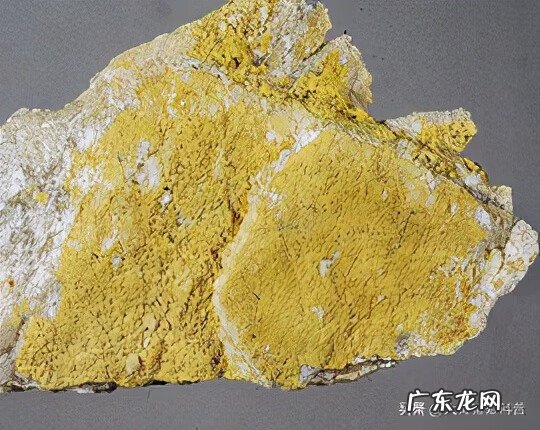 明矾晶体与水晶的区别 明矾石晶体