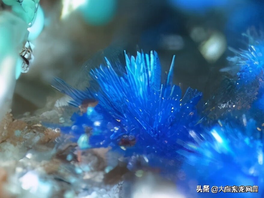 明矾晶体与水晶的区别 明矾石晶体