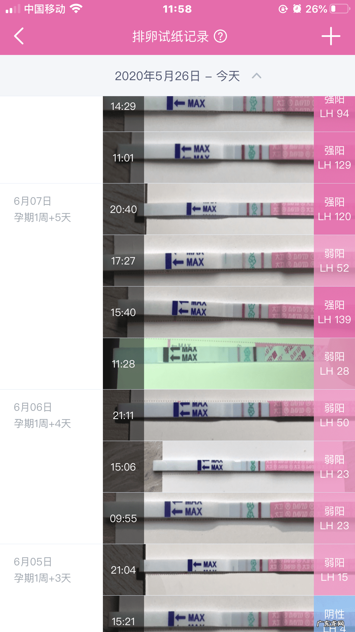 试孕纸怎么看怀孕 试孕纸怎样显示才是怀孕