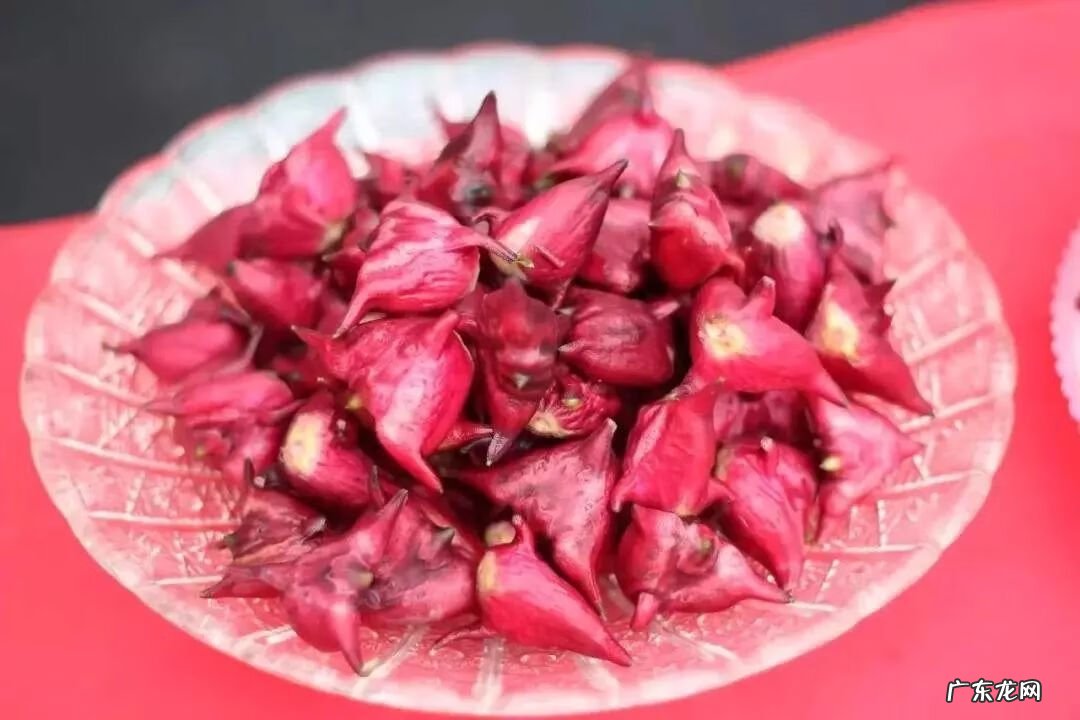 菱角菜的样子 菱角菜是什么菜