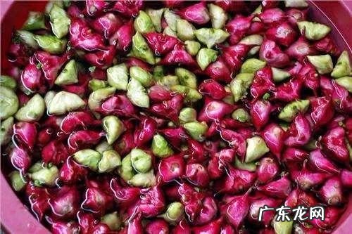 菱角菜的样子 菱角菜是什么菜