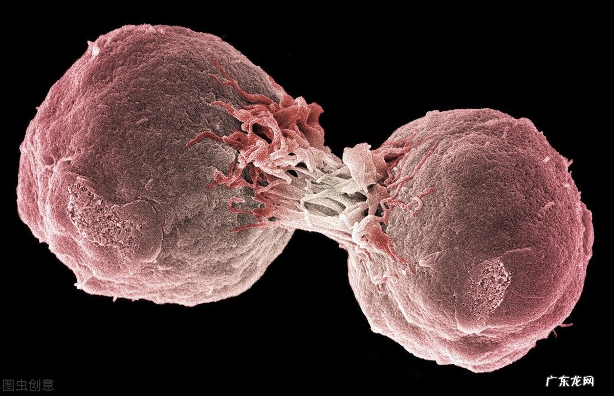 急性颈部淋巴结炎症状有哪些 颈部淋巴结炎症状表现