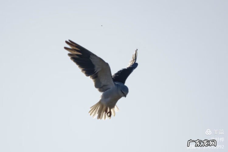 西藏羊湖风水秘境