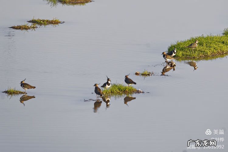 西藏羊湖风水秘境