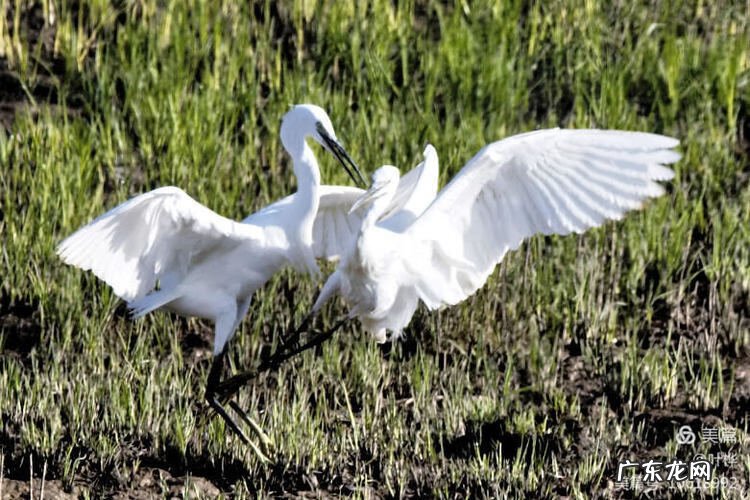 西藏羊湖风水秘境