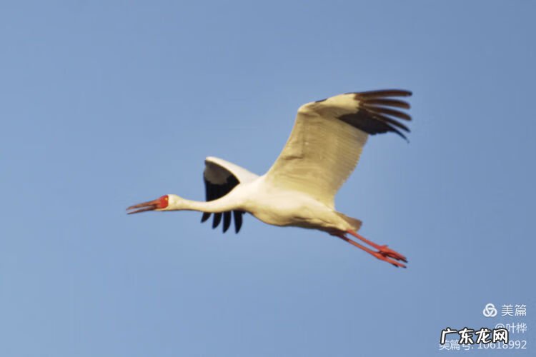 西藏羊湖风水秘境