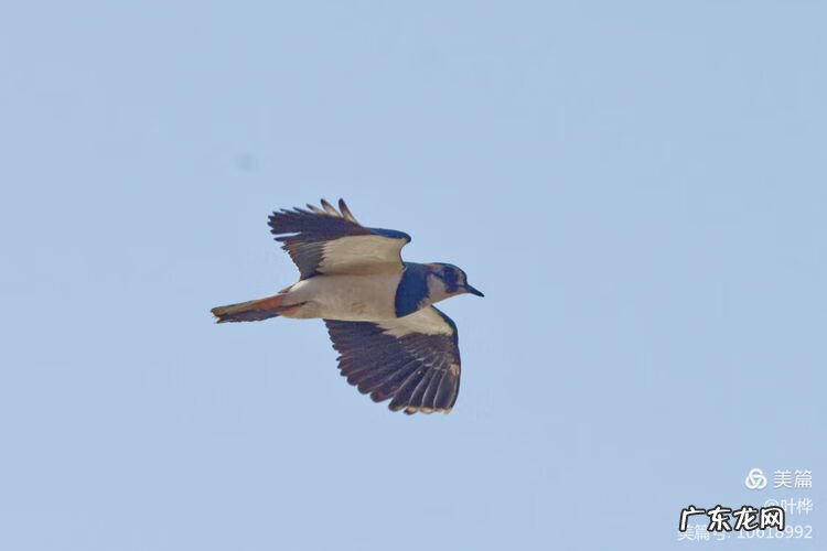 西藏羊湖风水秘境