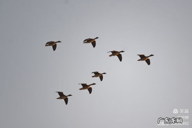 西藏羊湖风水秘境