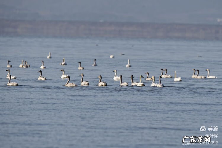 西藏羊湖风水秘境