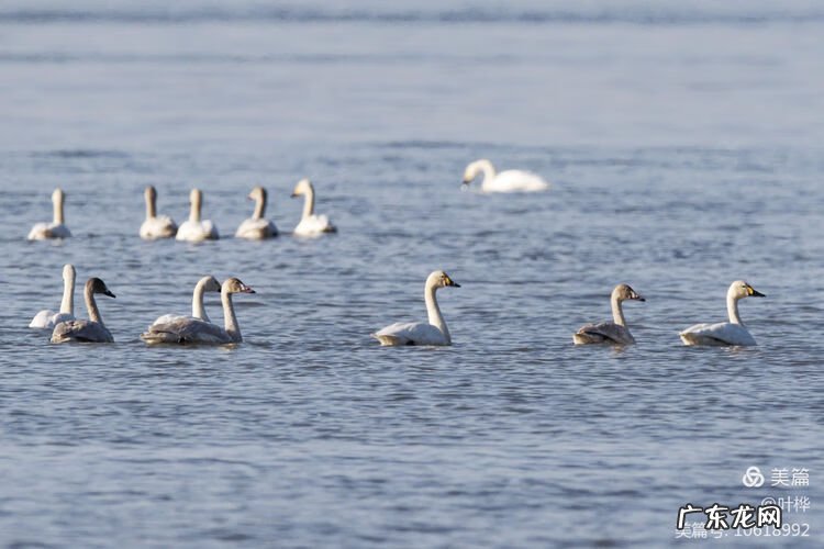 西藏羊湖风水秘境