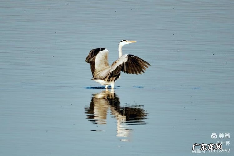 西藏羊湖风水秘境