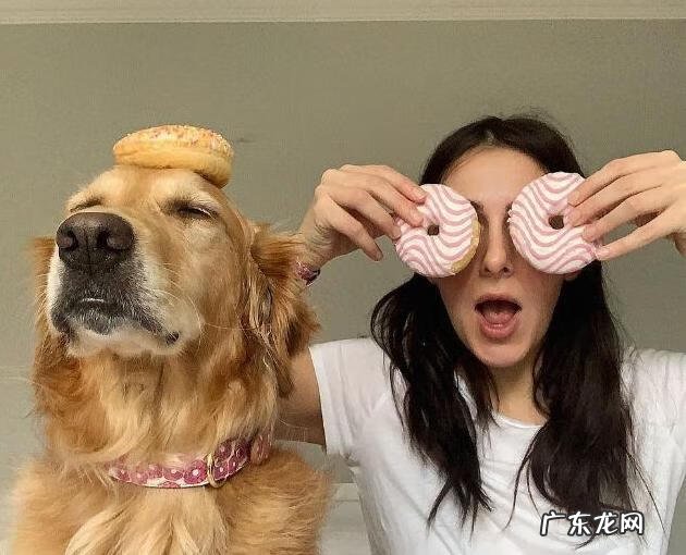 说服妈妈让她在家里养一只小狗 说服妈妈让她同意你在家里养一只小狗作文