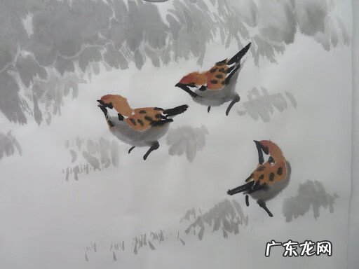 梅花上有喜鹊的寓意 梅花喜鹊图案风水禁忌